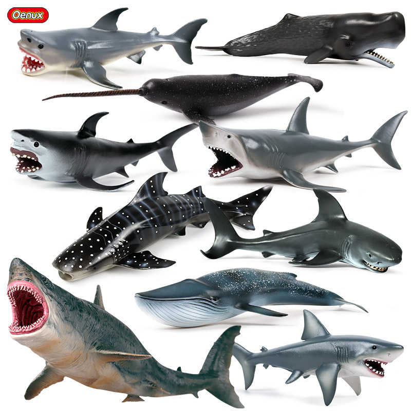 Kids Without Education - Oenux deniz yaşamı vahşi Megalodon büyük