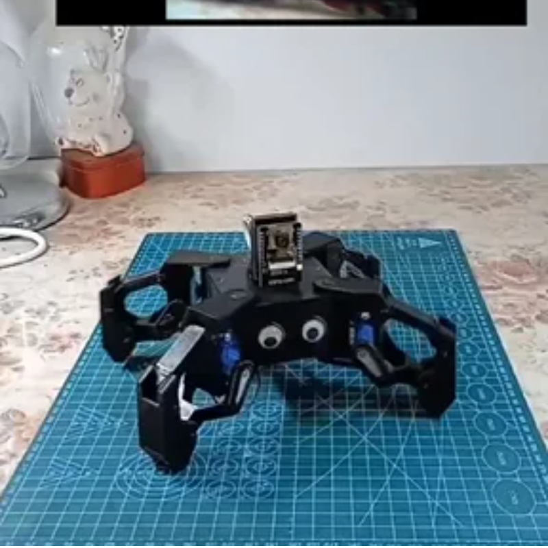 SG90 Video Robot Örümcek, Ardu - Coding Robot Toy incelemesi ve fiyatı