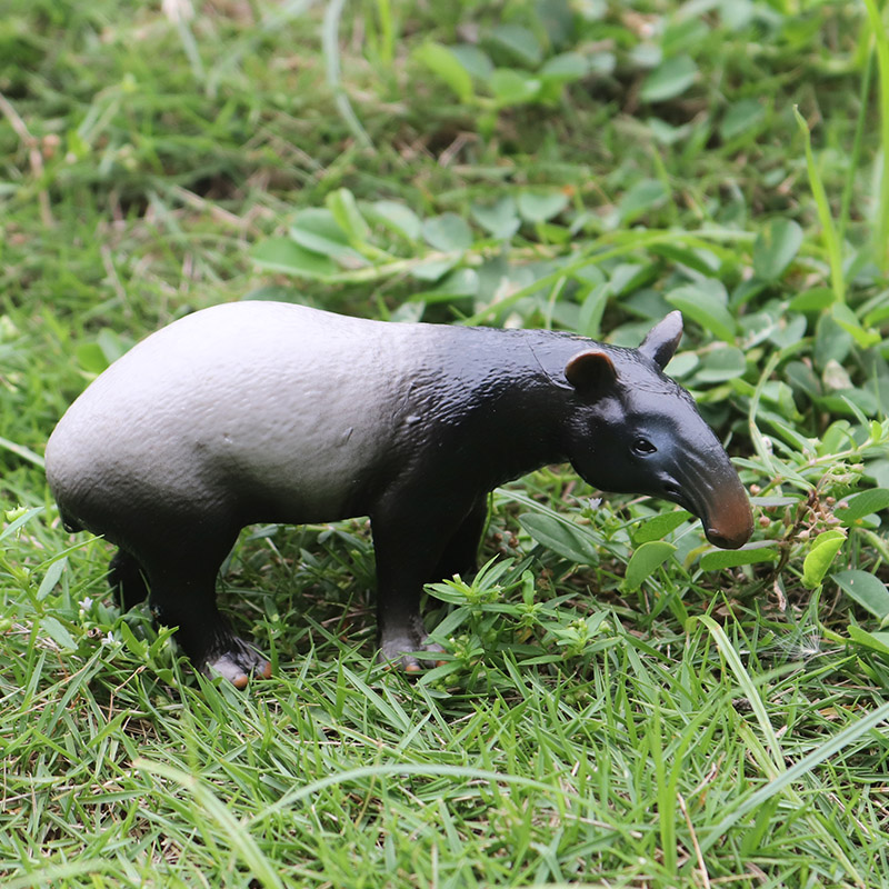 Oenux Yaban Domuzu Tapirus Ind - Kids Without Education incelemesi ve fiyatı
